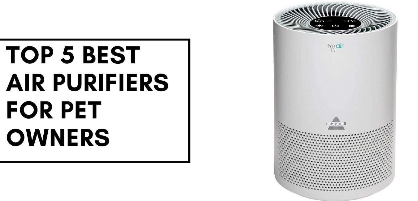 Top 5 Best Air Purifiers For Pet Owners in 2021