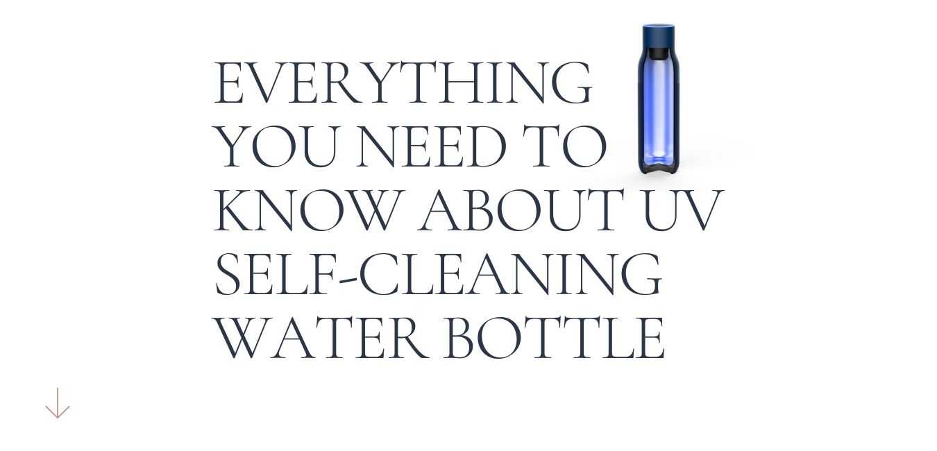 Everything you need to know about UV self cleaning water bottle